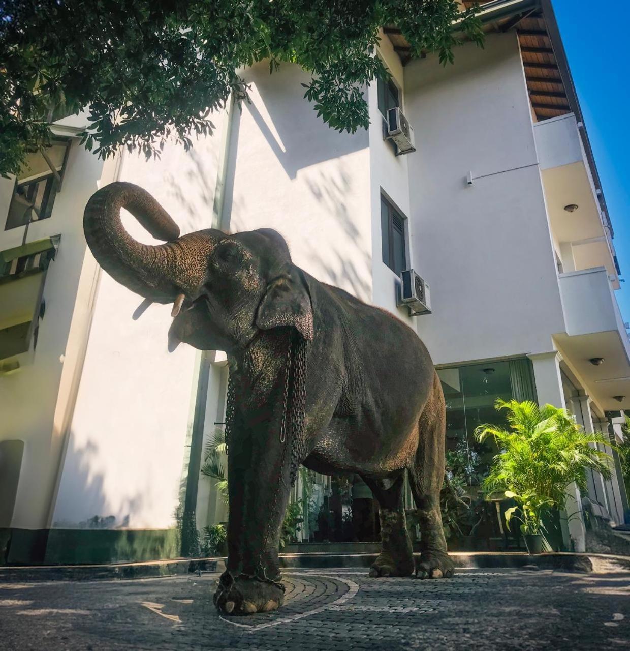 Hotel Yo Kandy Buitenkant foto